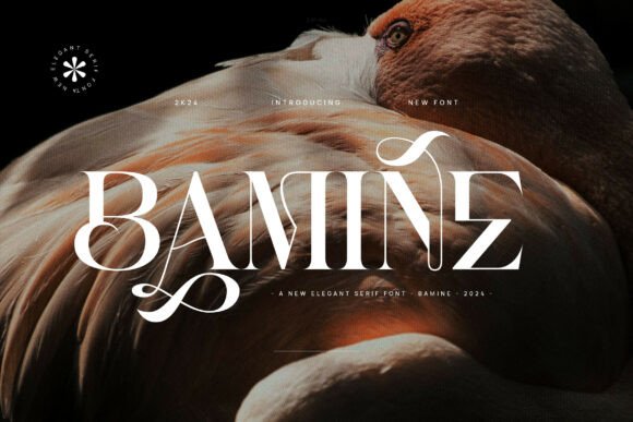 Bamine Serif Font for Web Design