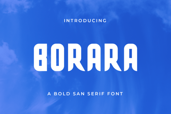 Borara: A Modern Sans Serif Font for Digital Design
