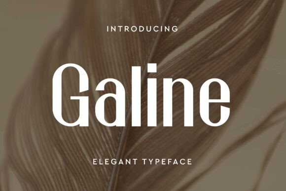 Galine: A Modern Sans Serif Font for Branding Projects