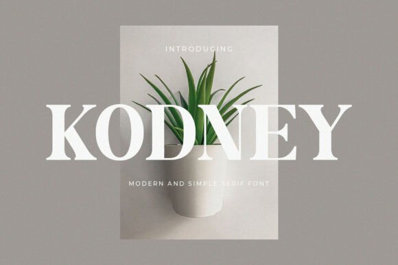 Kodney Serif Font for Branding and Design