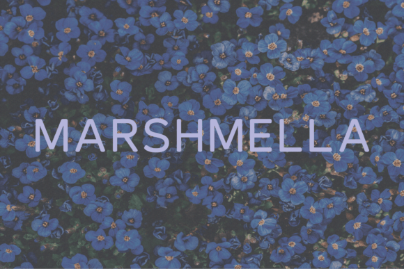 Marshmella: A Modern Sans Serif Font for Branding Projects