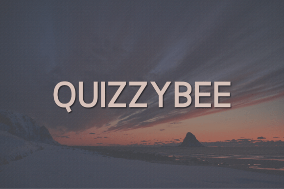 Quizzybee: A Bold Font for a Polished Brand Look