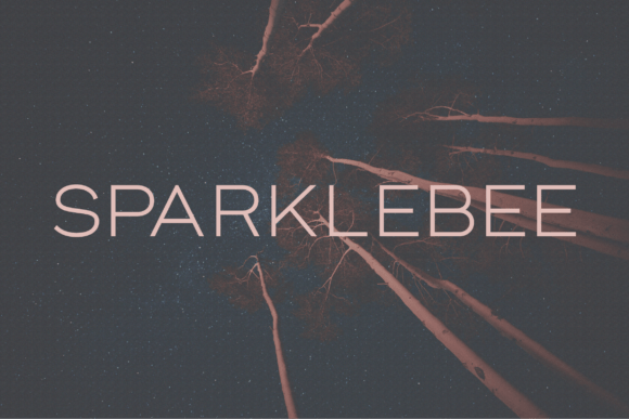 Sparklebee: A Modern Sans Serif Font for Branding Projects