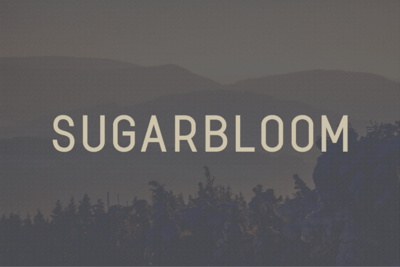 Sugarbloom: A Modern Sans Serif Font for Branding