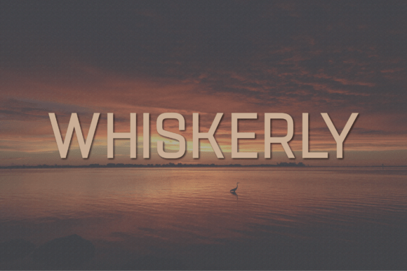 Whiskerly: A Modern Sans Serif for Editorial Design
