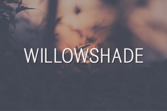 Willowshade: A Simple Font That Changed My Brand’s Look